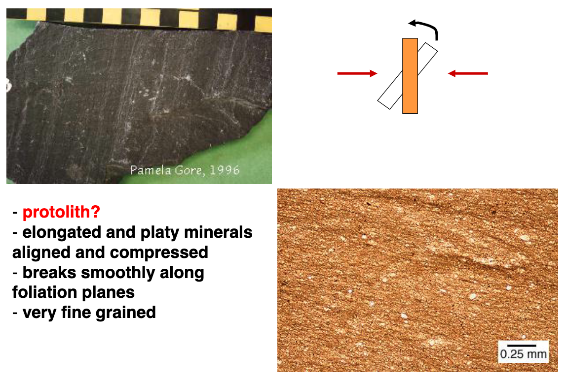 <p>protolith: shale<br>elongated and platy minerals aligned and compressed<br>breaks smoothy along foliation planes<br>very fine grained</p>