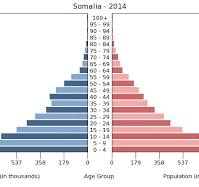 <p>rapid growth </p>