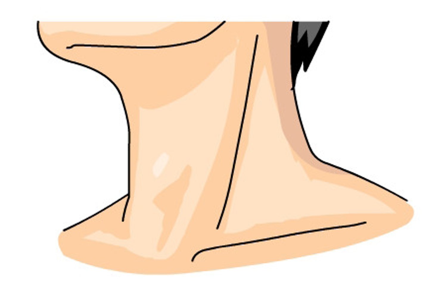 <p>bózi cổ 我睡落枕了，脖子不能轉動。 (Wǒ shuì luòzhěn le, bózi bù néng zhuǎndòng.) - Tôi ngủ bị vẹo cổ rồi, cổ không quay được.</p>