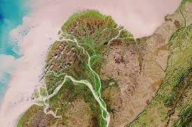 <p>A low-lying landform formed where a river enters a standing body of water (sea or lake), depositing its sediment load.</p>