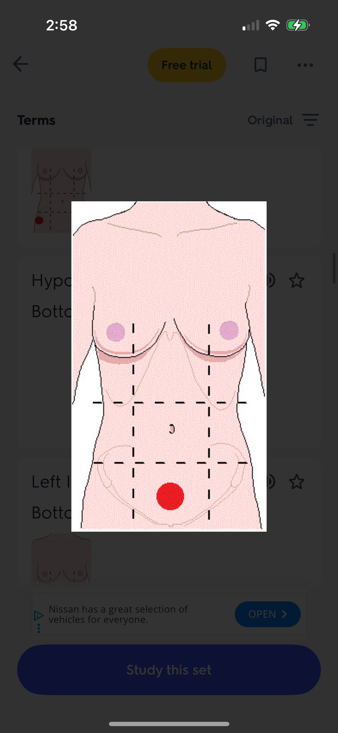 knowt flashcard image