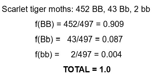 <p>Count number of individuals within a given genotype, divide by total of individuals.</p>