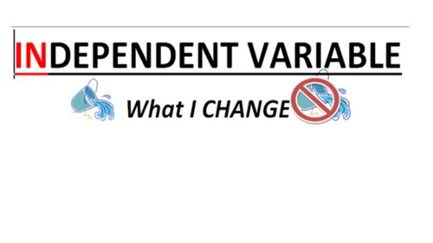 <p>The experimental factor that is manipulated; the variable whose effect is being studied.</p>