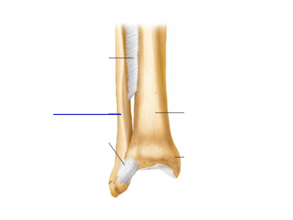 <p>What is this image pointing at? </p>