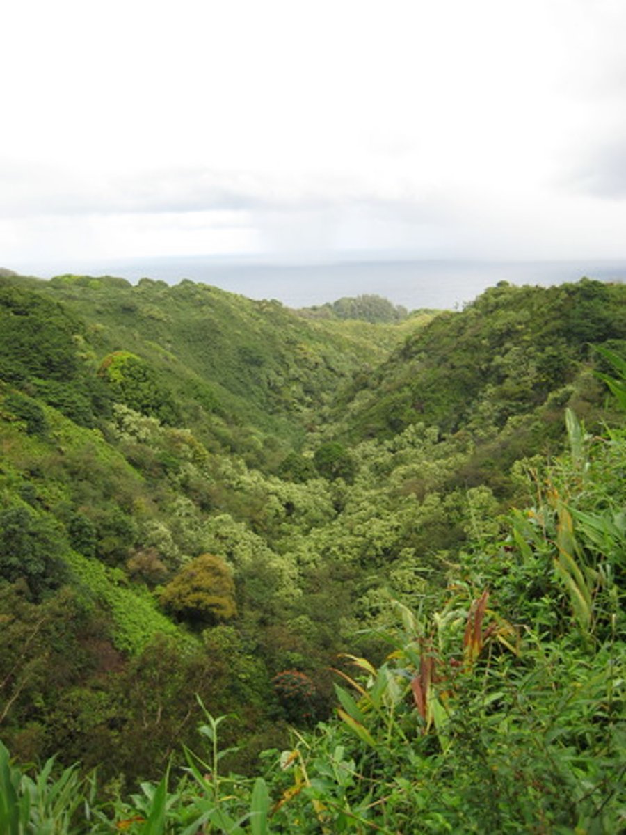 <p>Valley (n) /ˈvæli/</p>