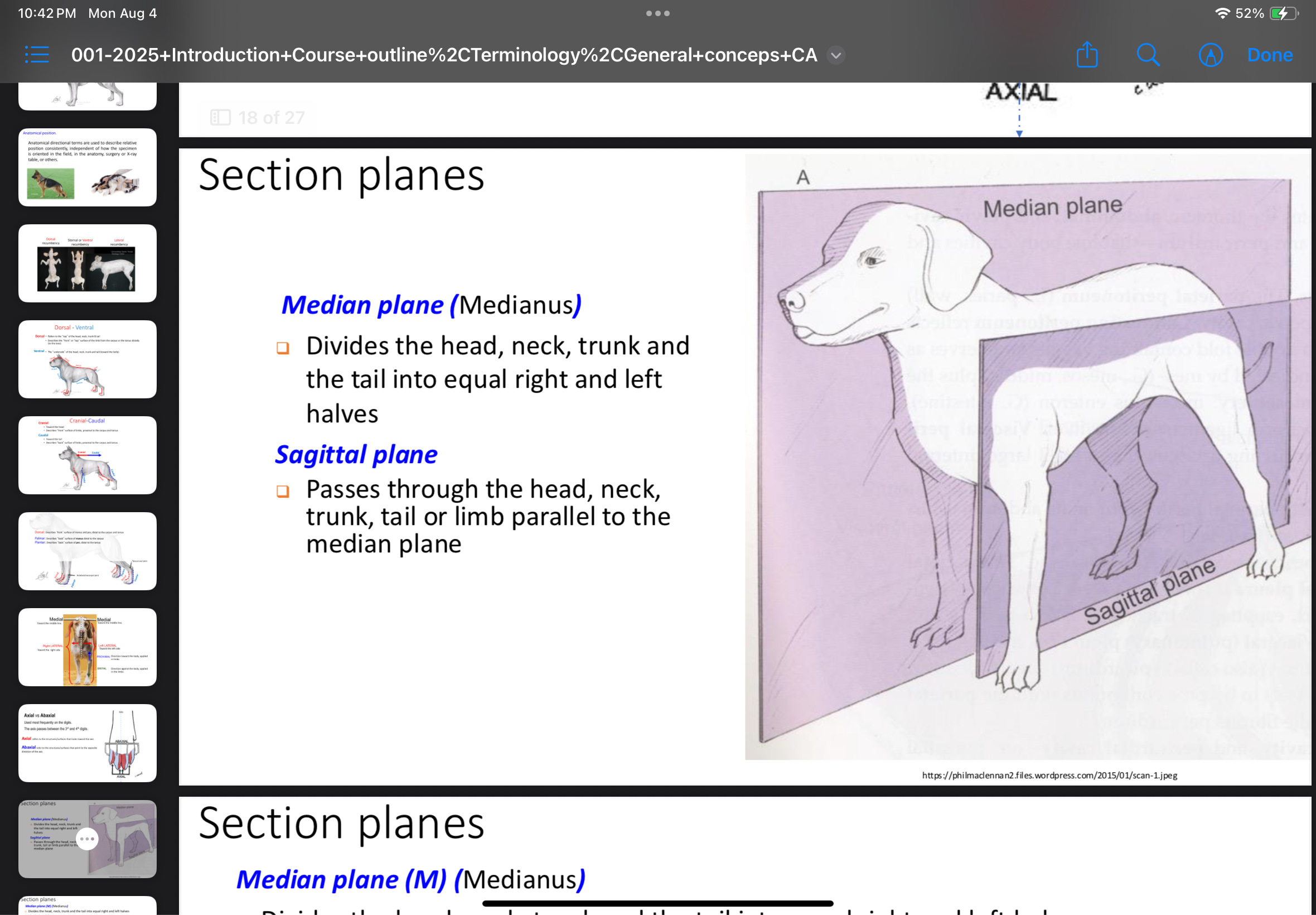 <p>Vertical plane that divides the head, neck, trunk, and tail into equal right and left halves.</p>