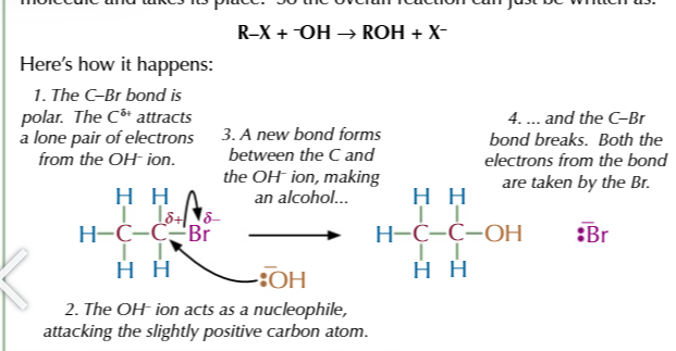 <p>=ALCOHOL</p>