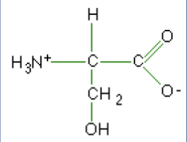 <p>What macromolecule is this?</p>