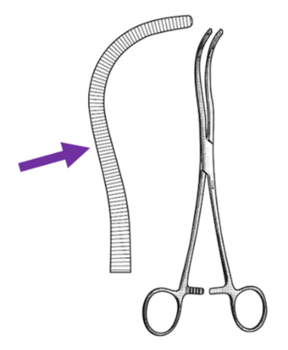 <p>parallel grooves in the jaws or blades of surgical instruments (to prevent tissue slippage or escape during cutting)</p>