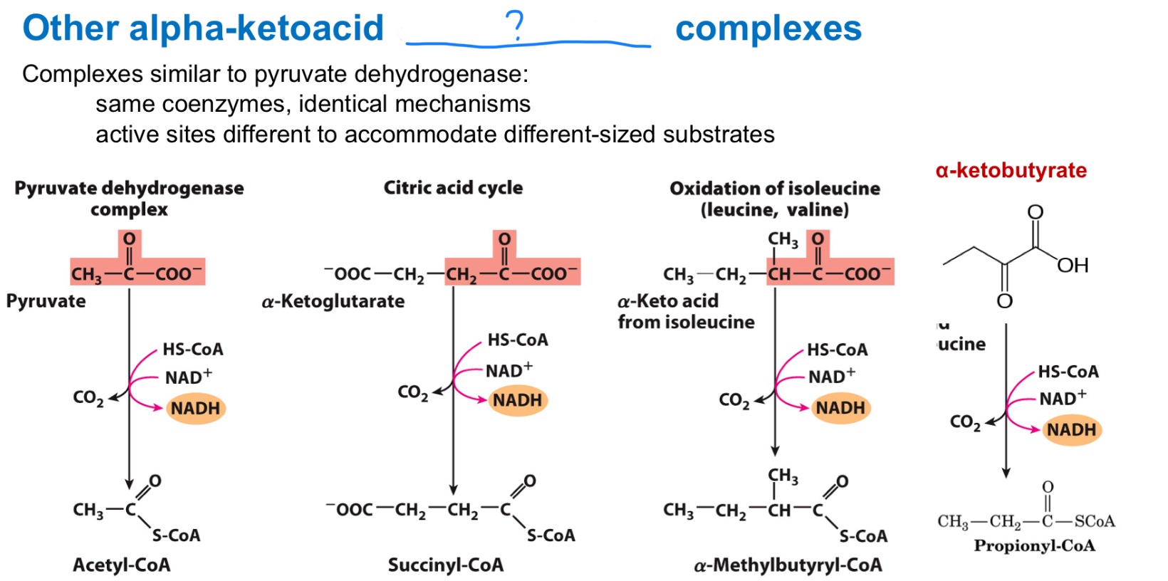 <p>Look at all these _ complexes!</p>