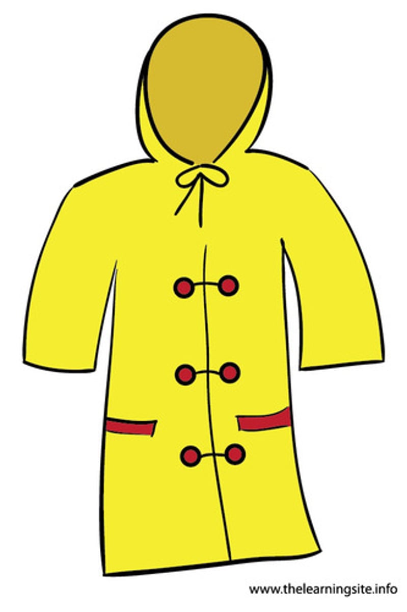 <p>raincoat</p>