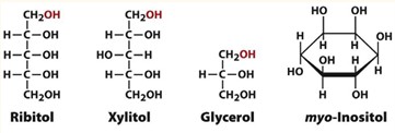 <p>Formation of Alditols</p>
