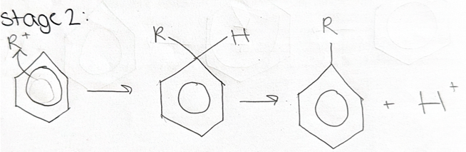 <p><strong><u>stage 1</u></strong> = RCl + <span style="color: blue">AlCl3 </span>⇌ <strong>R+</strong> + AlCl4-</p><p><strong><u>stage 2</u></strong> = draw</p><p><strong><u>stage 3</u></strong> = <span style="color: blue">catalyst </span>regenerated</p><p><strong>H+ + AlCl4- → HCl + </strong><span style="color: blue"><strong>AlCl3</strong></span></p>
