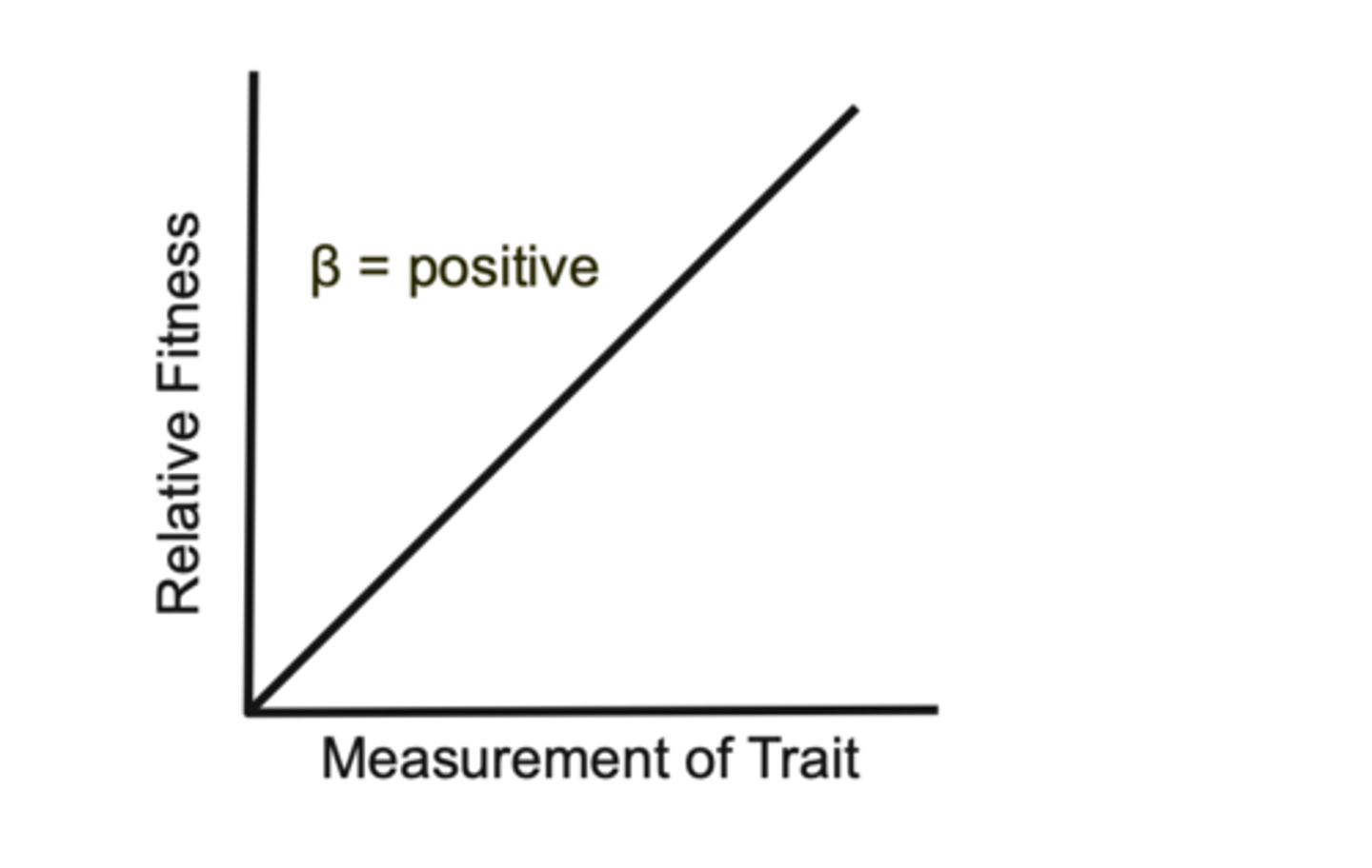 <p>Directional selection favors larger trait values, increasing the mean trait</p>