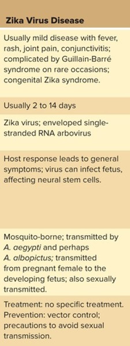 <p>Through Aedes mosquito bites.</p>