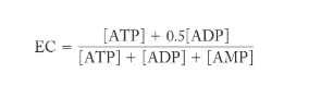 <p>a measure of the energy state of a cell in terms of ATP, ADP, and AMP ratios </p>