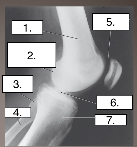 <p>What projection?</p><p>Label?</p>