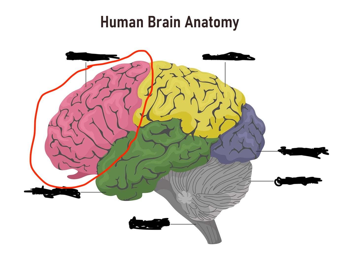 term image