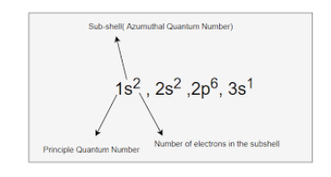 <p>The following is the electron configuration for</p><p></p><ol><li><p>Hydrogen</p></li><li><p>Lithium</p></li><li><p>Sodium</p></li><li><p>Neon</p></li></ol>