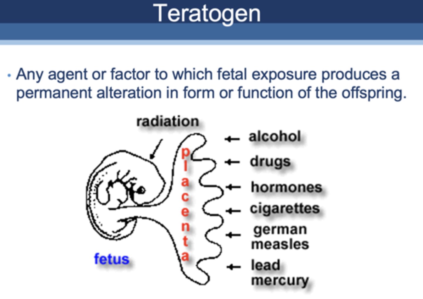 <p>teratogen</p>