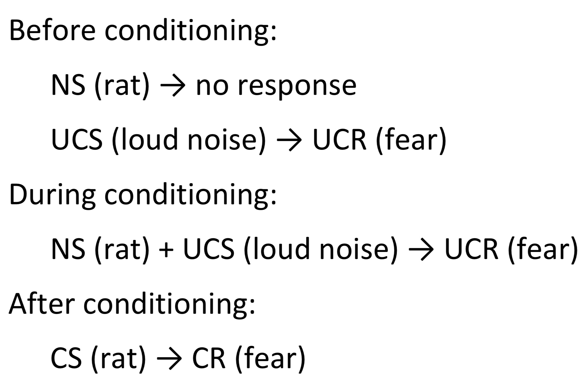 <p>Experiment demonstrated that a fear response could be induced through classical conditioning as eventually Albert displayed a fear response to the rat suggesting t had become a conditioned stimulus. Albert showed a fear response towards similar objects e.g cotton wool</p>