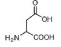 <p>Aspartic Acid (D)</p>