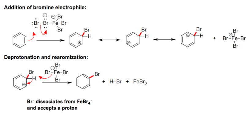 <ul><li><p>To create a strong electrophile either AlCl<sub>3</sub>&nbsp;or FeBr<sub>3</sub>&nbsp;is needed.&nbsp;</p></li><li><p>Carbocation intermediate is formed.&nbsp;</p></li><li><p>Formulates a benzene ring with a halogen attached.</p></li></ul><p></p>