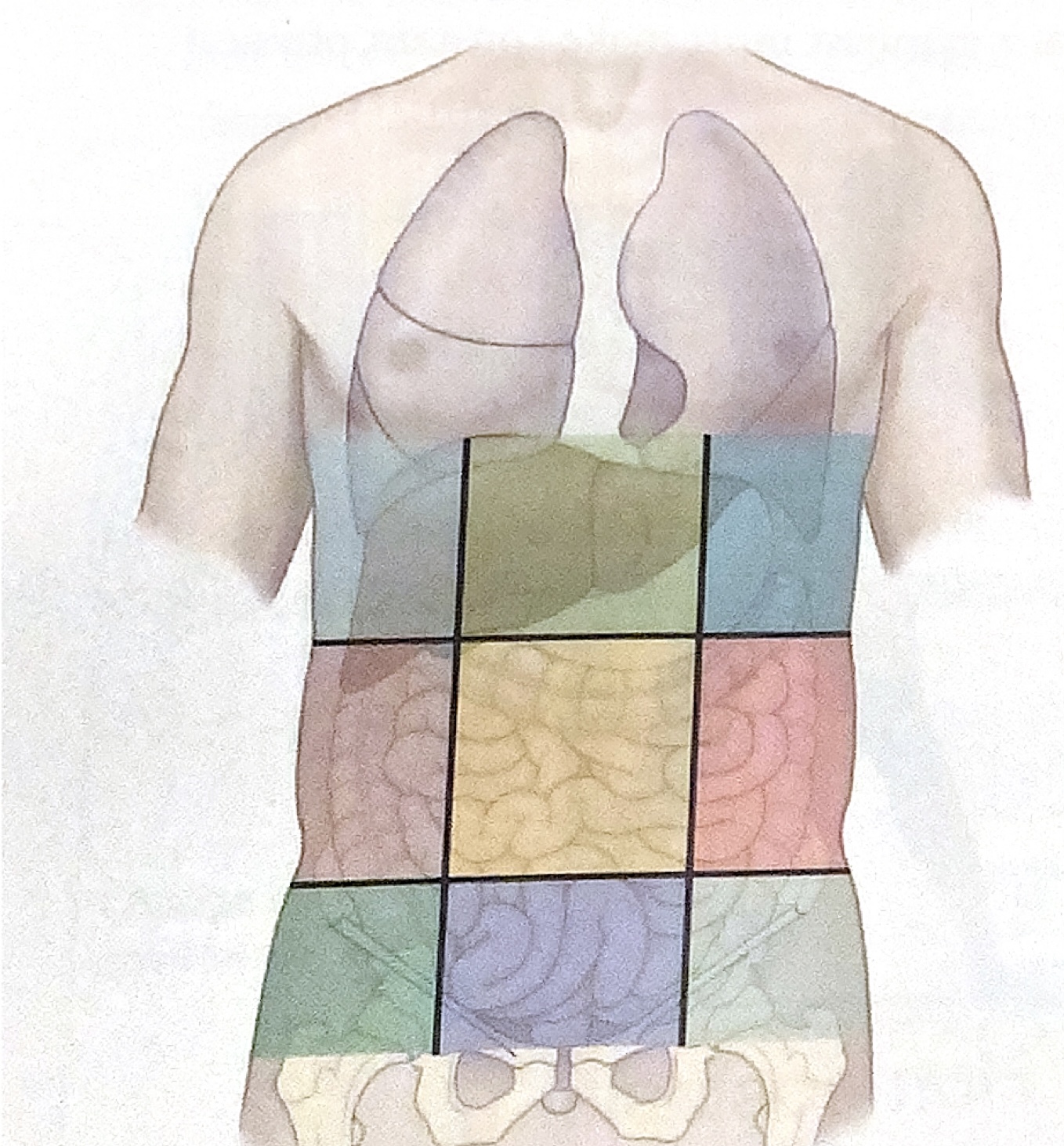 <p>Epigastric Region </p>