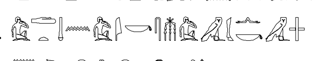 term image