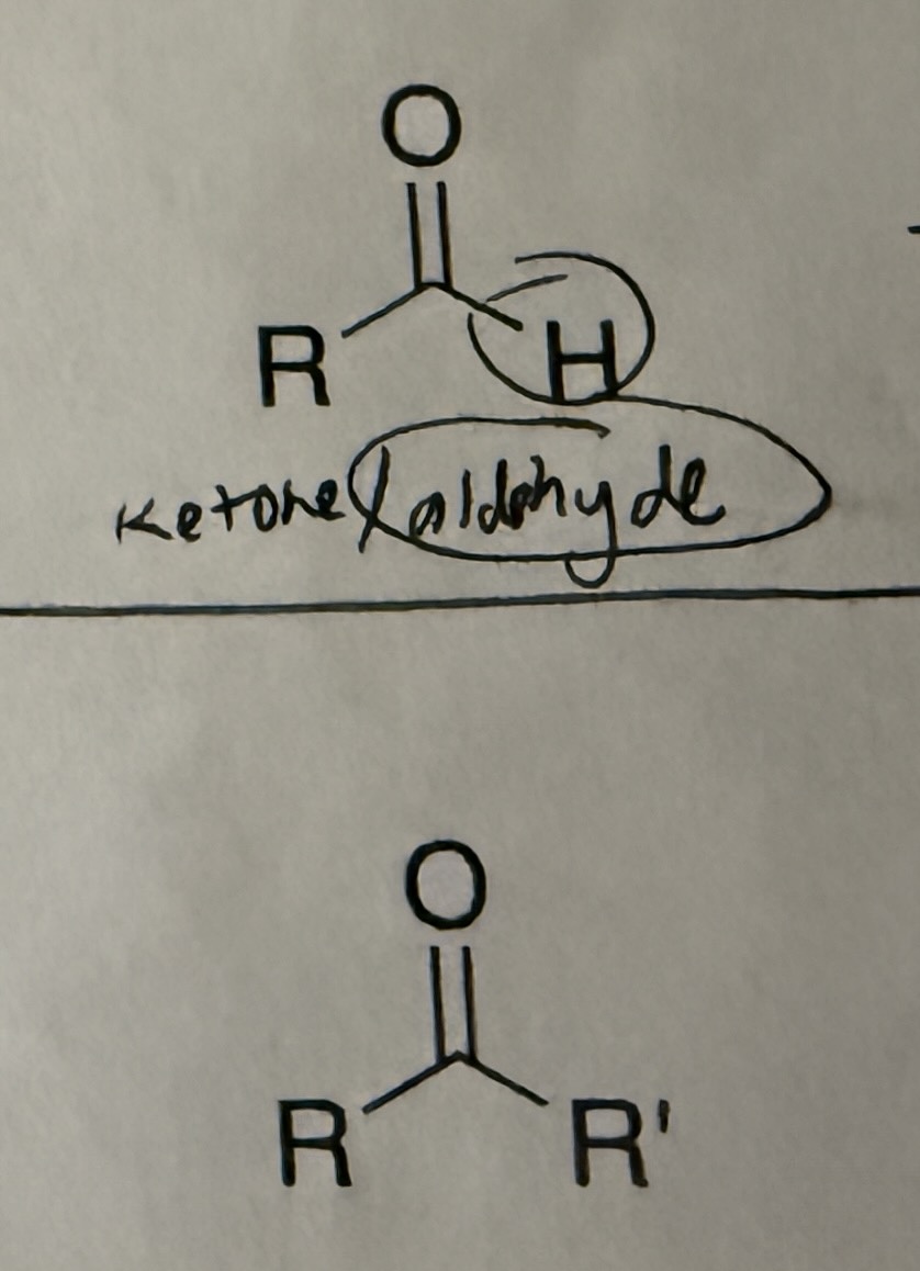 <p>PCC (forms aldehyde if 1 prime and ketone if 2 prime)</p><p>Jones (forms carboxylic acid directly)</p>