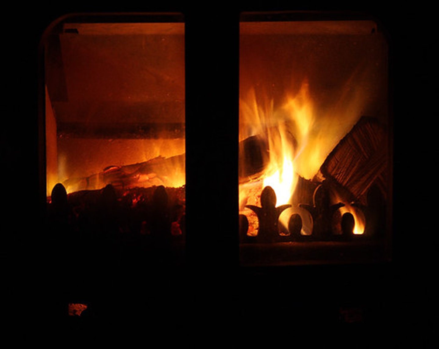 <p>A reaction that releases energy in the form of heat</p>