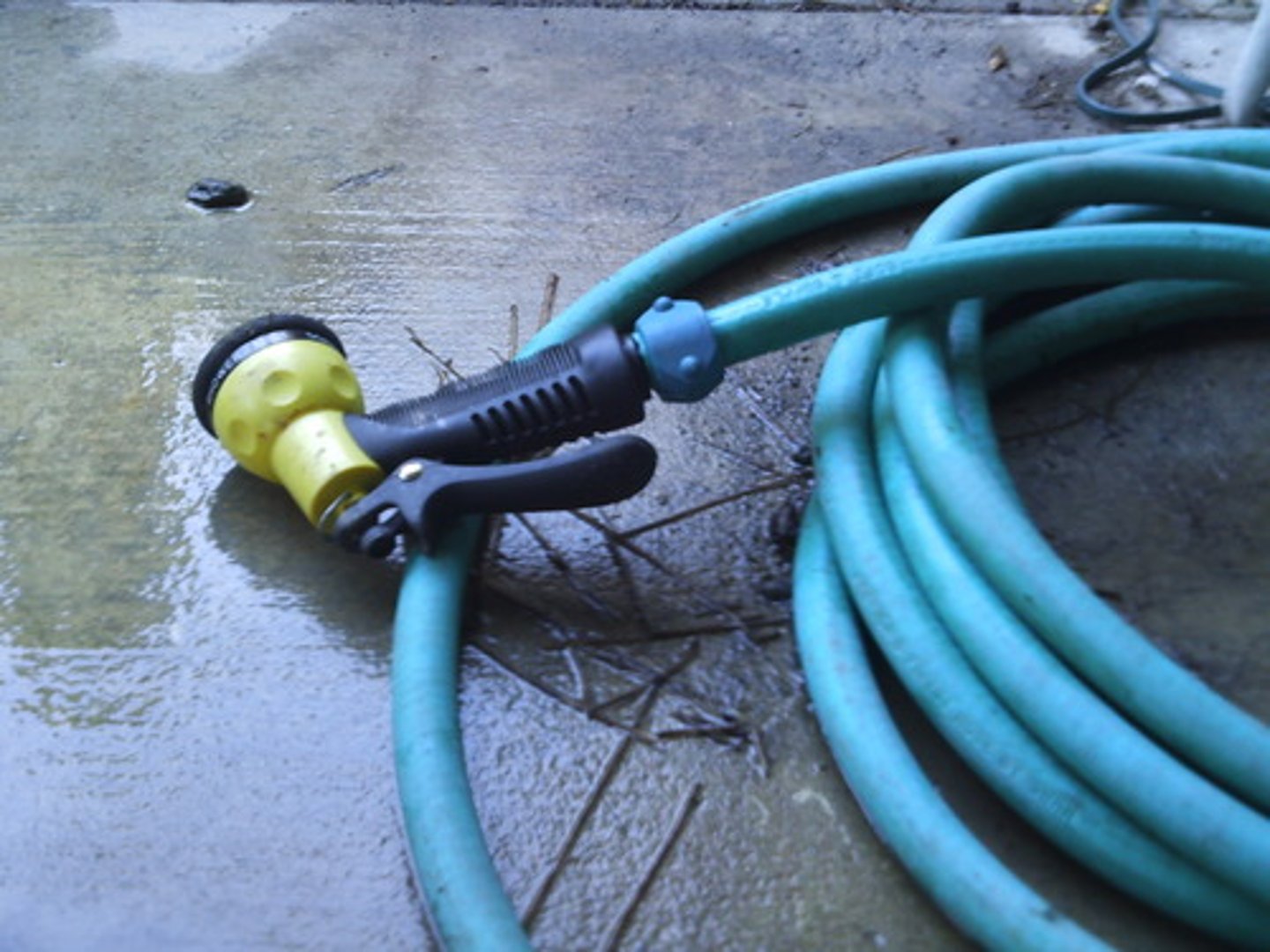 <p>garden hose</p>