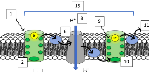 <p>What is this process called?</p>