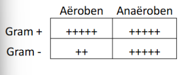 <p><span style="background-color: transparent;"><span>inhibitie translocatie thv 50S</span></span></p><p><span style="background-color: transparent;"><span>Gebruik: rhodococcus equi</span></span></p>
