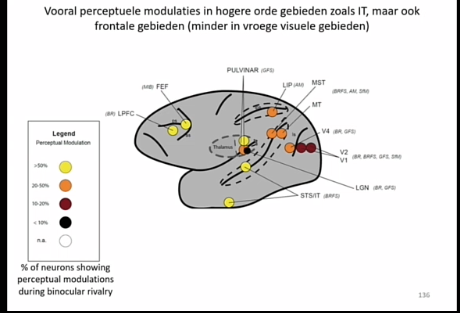 <p></p><p>welke gebieden in het brein verschillende activaties laten zien voor het zien van de ene stimulus vws de andere stimulus, dus die gevoelig zijn voor het switchen van het percept, vooral hogere orde gebieden. </p><p></p><p><strong>meeste perceptuele modulaties te zien zijn in hogere orde gebieden</strong></p><p></p>