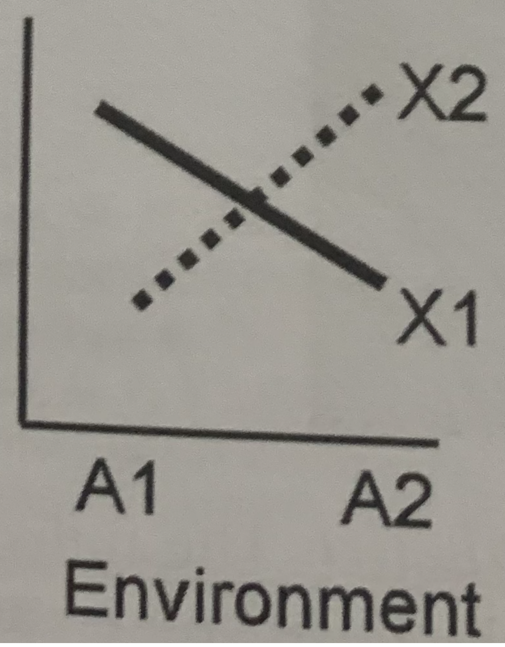 What does this graph tell us?