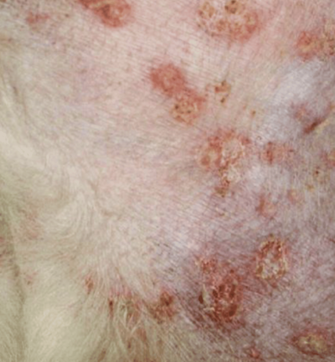 <p>what is this called?</p>