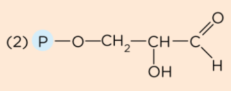 <p>What structure is this?</p>