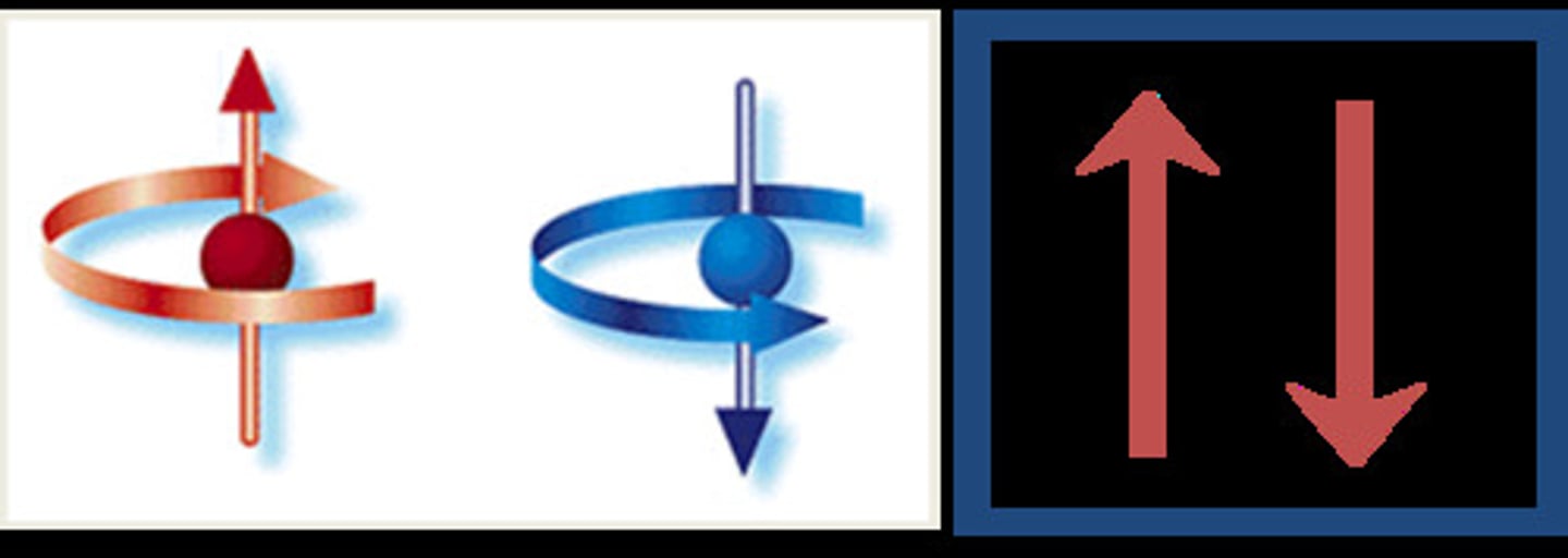 <p>maximum of two electrons may occupy an atomic orbital, but only if they have opposite spins</p>