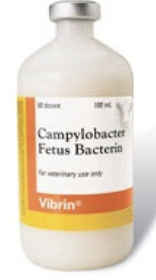 <p>-vaccinate cows and bulls *vaccine can help prevent and treat!</p><p>-remove positive bulls</p><p>-use AI for 2 years</p>