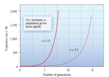 <p>Exponential Population Growth Model</p>