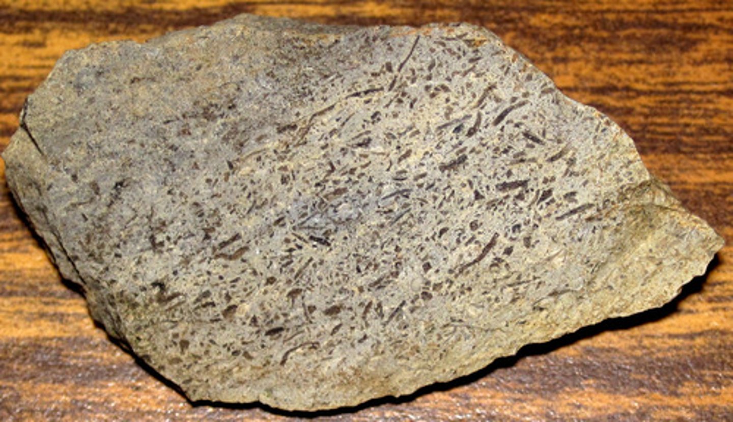 <p>sedimentary rock, composition: calcite, interlocking crystals, will react with dilute acid</p>