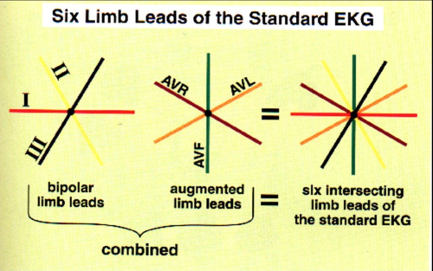 <p>The augmented limb leads split the angles formed by leads I, II, and III.</p>