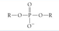 <p>What functional group is this?</p>