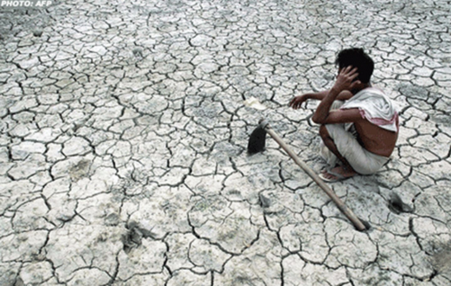 <p>The condition in which food insecurity is so extreme that large numbers of deaths occur in a given area over a relatively short period.</p>