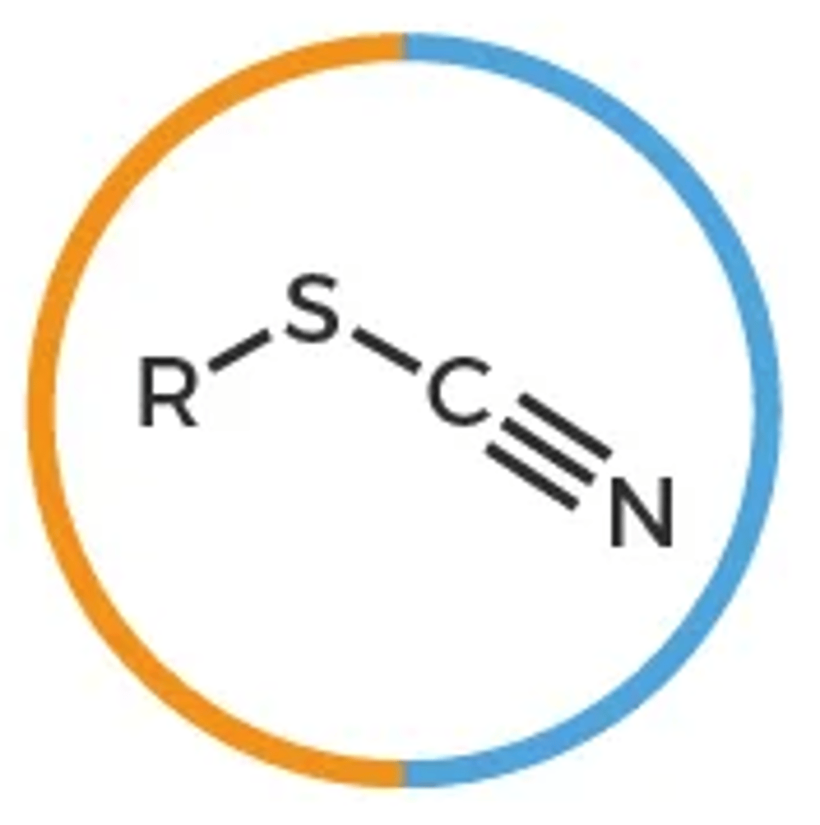 <p>R-SCN</p>