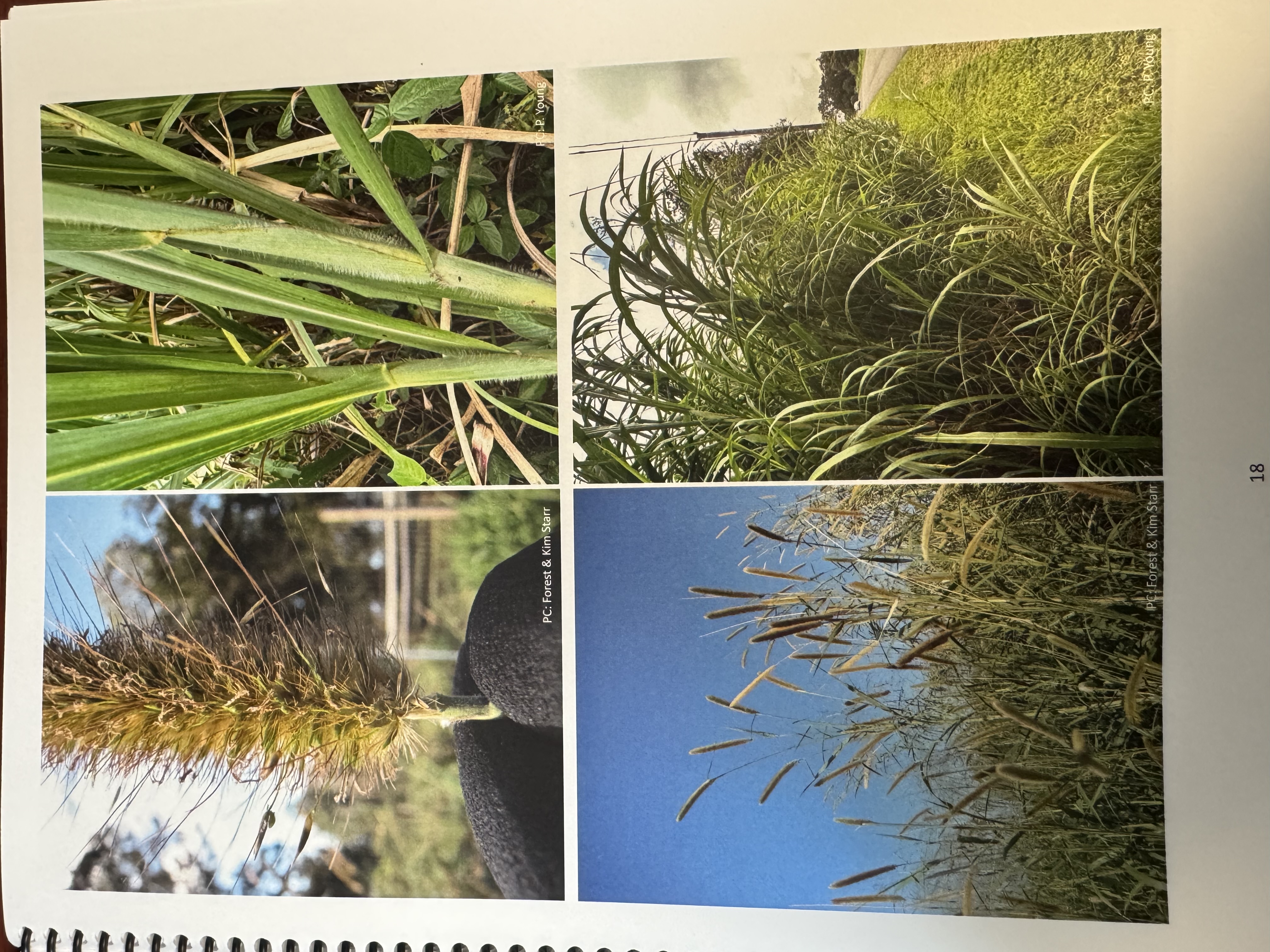 <img src="blob:null/75b37f9e-9360-444f-a273-67c86d620611"><p></p>