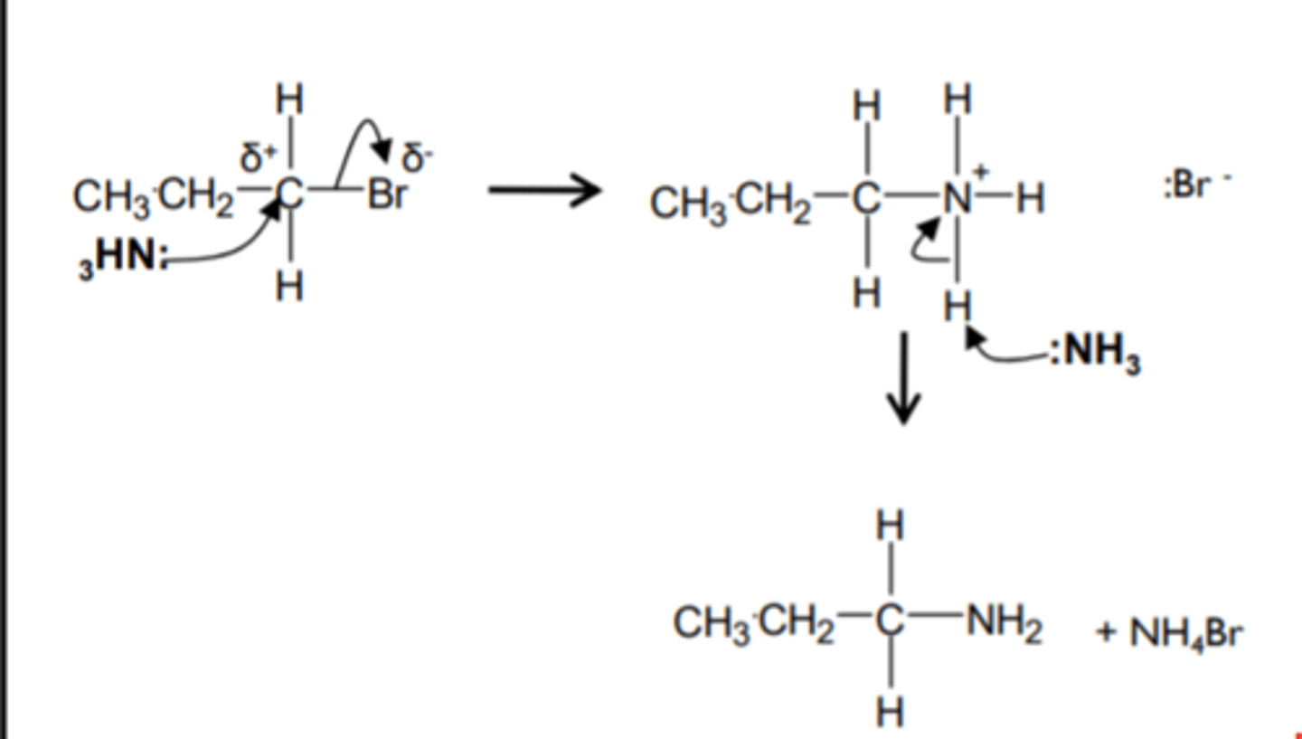 <p>+ excess conc NH3 (ethanolic)</p><p>heat and high pressure</p><p>nucleophilic sub</p>
