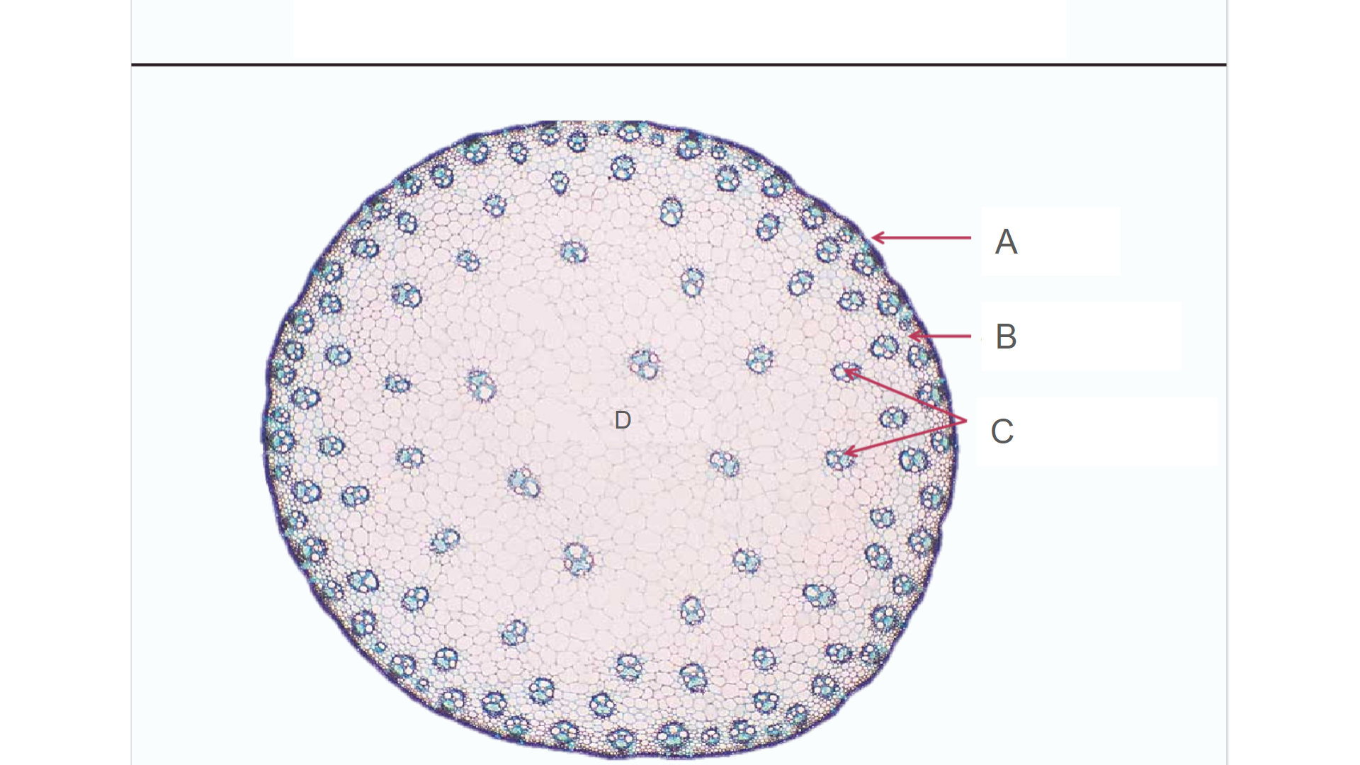 <p>What is C?</p>