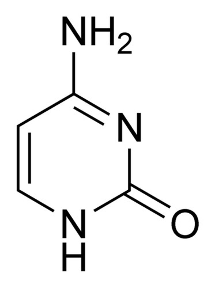 <p>The base that pairs with Guanine with DNA, pyrimidine structure</p>